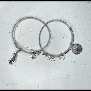 2 Alex and Ani Cham Bracelet Duo